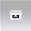 Zonic plafón de techo 1 luz